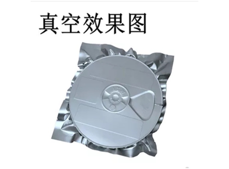 600A外抽式真空充氣封口包裝機(jī)